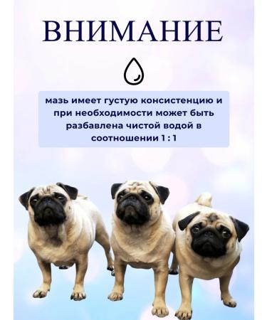 BONDAVI Ointment for wounds for small pets 30g - Buy Online on GoSupps.com