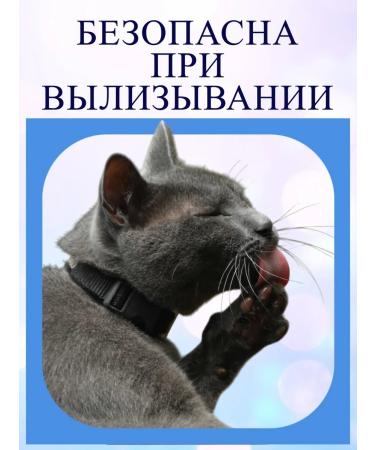 BONDAVI Ointment for wounds for small pets 30g - Buy Online on GoSupps.com