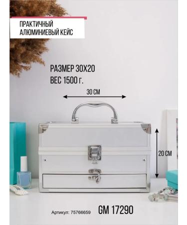 MISSYOUNG Set of decorative cosmetics GM 17290 silver - Buy Online on GoSupps.com