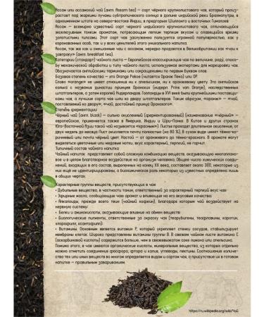 TEABREEZE Tea to the Assam Black Baykhovy large -leaf Indian - Buy Online on GoSupps.com