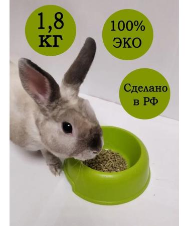 Kroshinkorm decorative rabbit