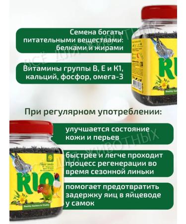 RIO Bird treat "Abyssinian nug" Bird vitamins - Buy Online on GoSupps.com