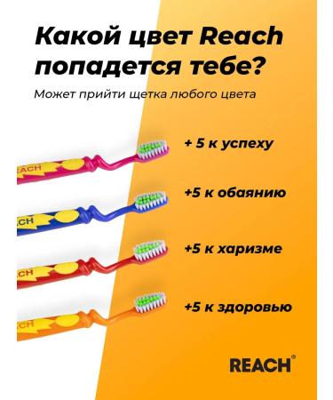 REACH Baby Baby Wonder Grip 6-12th assortment - Buy Online on GoSupps.com