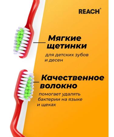 REACH Baby Baby Wonder Grip 6-12th assortment - Buy Online on GoSupps.com