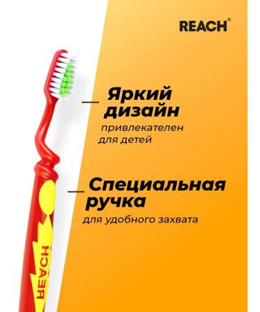 REACH Baby Baby Wonder Grip 6-12th assortment - Buy Online on GoSupps.com