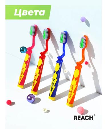 REACH Baby Baby Wonder Grip 6-12th assortment - Buy Online on GoSupps.com