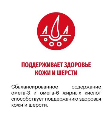 KARMY Dog feed Medium adult turkey 14 kg - Buy Online on GoSupps.com