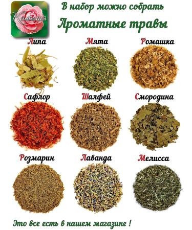 Camellia Tea Company Elite Ulun Tea "Mangovy" - Buy Online on GoSupps.com