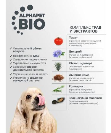 AlphaPet Dry food with turkey and rice for dogs of small species 0.5 kg - Buy Online on GoSupps.com