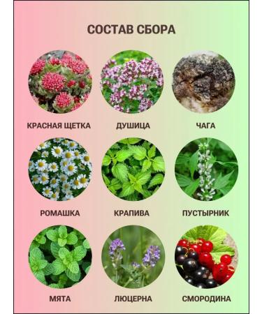ALTAVED Collection of Herbal Altai Tea for Women - Buy Online on GoSupps.com