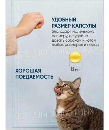 VAKA Fish oil in capsules - vitamins for wool - Buy Online on GoSupps.com