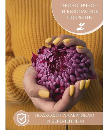 Titanium nails top diplomatic system system without UV - Buy Online on GoSupps.com