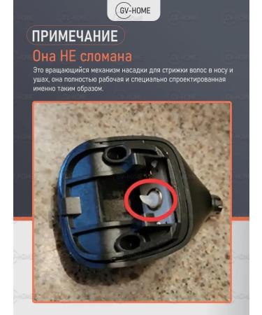 GV-HOME Hair and beard cutting machine Professional - Buy Online on GoSupps.com