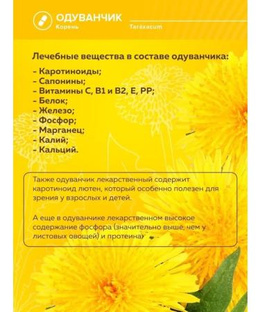 Alvitta Dandelion root in capsules plant extract - Buy Online on GoSupps.com