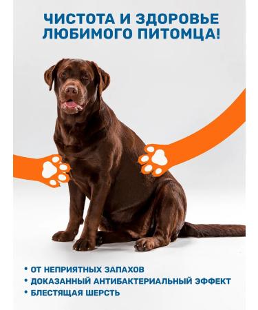 ZOORIK Shampoo for dogs and cats with chlorhexidine 1000 ml - Buy Online on GoSupps.com