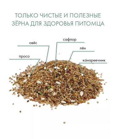 FIORY Bird food 800 g - Buy Online on GoSupps.com