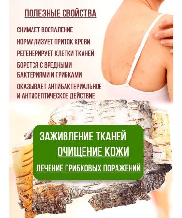 PKK VESNA Degtyar soap liquid spring chapter 2pcs - Buy Online on GoSupps.com