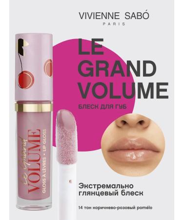 VIVIENNE SABO Lip gloss Le Grand Volume tone 14 brown-pink