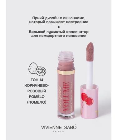 VIVIENNE SABO Lip gloss Le Grand Volume tone 14 brown-pink - Buy Online on GoSupps.com