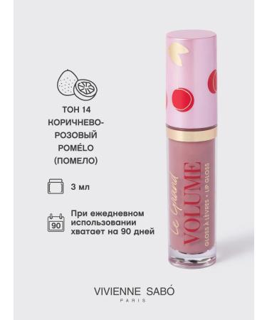 VIVIENNE SABO Lip gloss Le Grand Volume tone 14 brown-pink - Buy Online on GoSupps.com