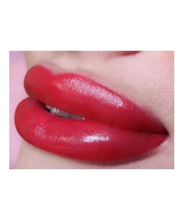 Face Company Face lip pigments permanent makeup paprika 6ml - Buy Online on GoSupps.com