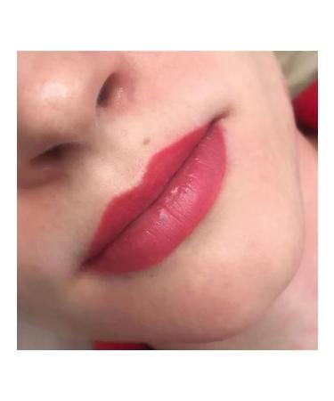 Face Company Face for lip pigments permanent makeup grenade 6ml - Buy Online on GoSupps.com