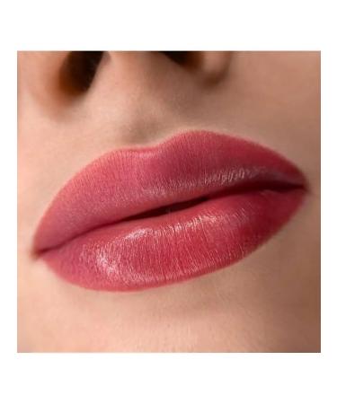 FACE Company Face for lip pigments permanent makeup Megan Organic 6ml - Buy Online on GoSupps.com