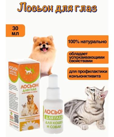 Begart Eye drops for the eyes of animals 50m from conjunctivitis