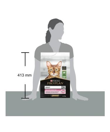 PRO PLAN Dry food for digestion with lamb 3 kg - Buy Online on GoSupps.com