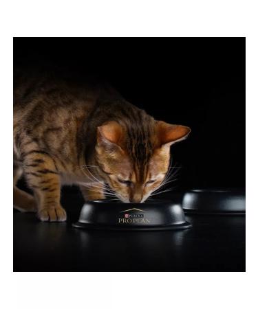 PRO PLAN Dry food for sterilized cats with a turkey 3 kg - Buy Online on GoSupps.com