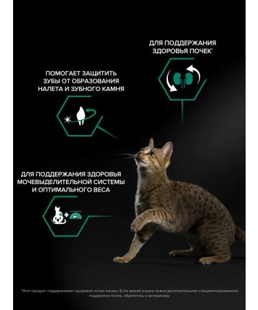 PRO PLAN Dry food for sterilized cats with salmon 400 g - Buy Online on GoSupps.com