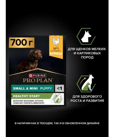 PRO PLAN Dry food for small puppies with chicken 700 g - Buy Online on GoSupps.com