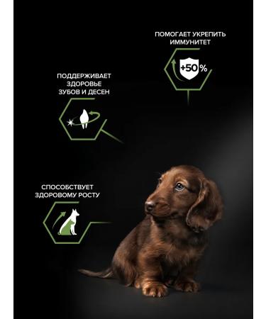 PRO PLAN Dry food for small puppies with chicken 700 g - Buy Online on GoSupps.com