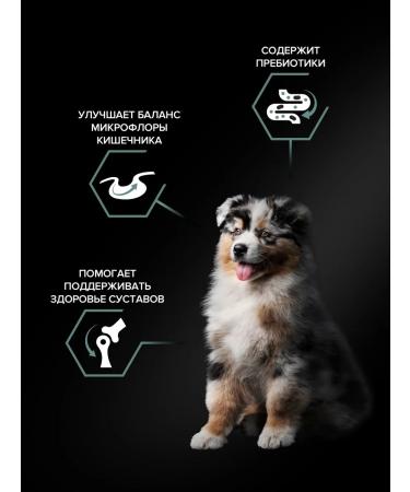 PRO PLAN Dry food for medium digestive puppies with lamb 3kg - Buy Online on GoSupps.com