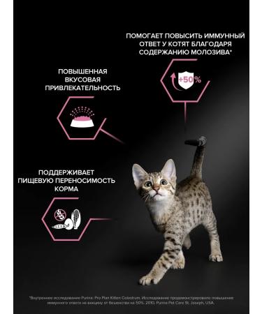 PRO PLAN Dry food for kittens for digestion with a turkey 1.5 kg - Buy Online on GoSupps.com