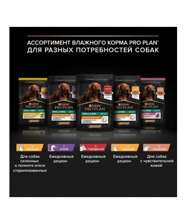 PRO PLAN Spider for dogs for small breeds with beef 85 g x 26 pcs - Buy Online on GoSupps.com