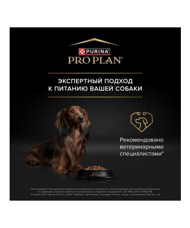 PRO PLAN Spider for dogs for small breeds with beef 85 g x 26 pcs - Buy Online on GoSupps.com
