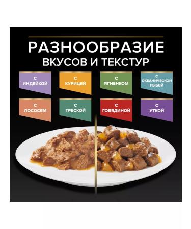 PRO PLAN Spider for sterilized cats with beef 85 g x 26 pcs - Buy Online on GoSupps.com