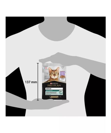 PRO PLAN Spider for elderly cats turkey 85 g x26 - Buy Online on GoSupps.com