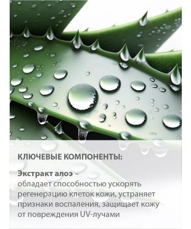 BELWEDER Lip balm with hemp oil - Buy Online on GoSupps.com