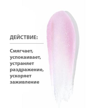 BELWEDER Lip balm aromatic with lavender oil Belveder - Buy Online on GoSupps.com