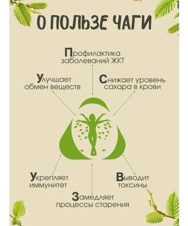 Zdraven Tea Chaga birch -lip 1 kg - Buy Online on GoSupps.com