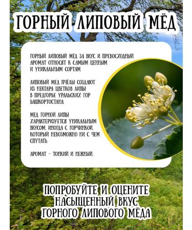 Honey of the Mamdeev family Mountain linden honey natural lifestyle - Buy Online on GoSupps.com