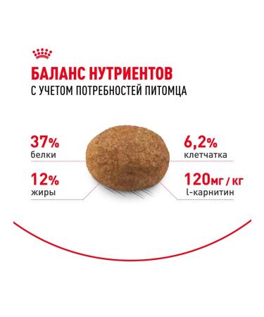 ROYAL CANIN Dry food for adults sterilized cats - 400 g - Buy Online on GoSupps.com