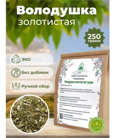 Native herbs Volodushka golden grass