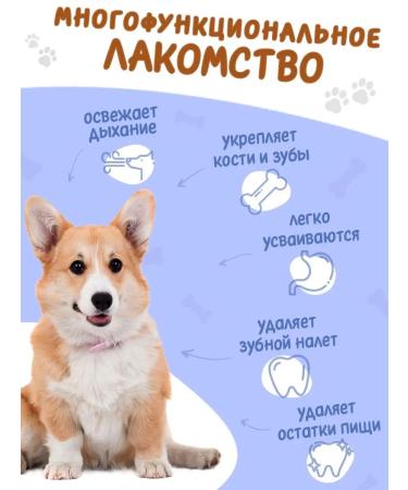 Toothpicks Toothpick for dogs of medium breeds 1 pcs - Buy Online on GoSupps.com