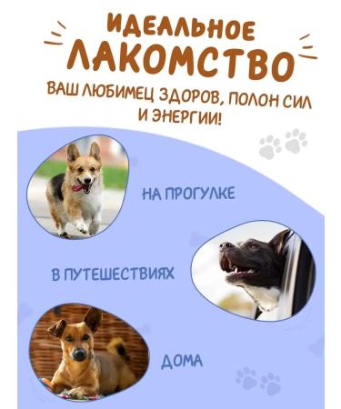 Toothpicks Toothpick for dogs of medium breeds 1 pcs - Buy Online on GoSupps.com