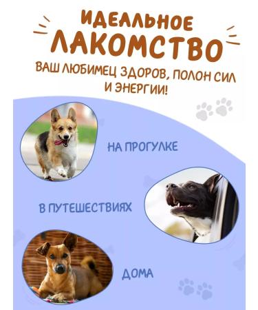 Toothpicks Toothpick for dogs with the taste of seaweed 1 pcs - Buy Online on GoSupps.com