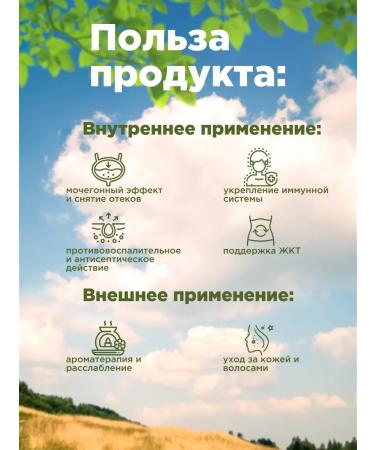 Native herbs Birch leaf - Buy Online on GoSupps.com