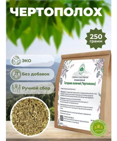 Native herbs Thistle grass mountain Adygea